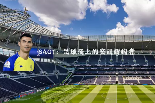 SAOT：足球场上的空间解构者